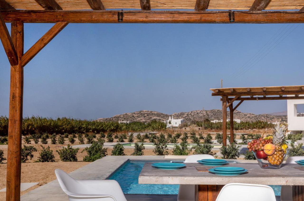 Bamboo Villa Naxos ミクリ・ヴィグラ エクステリア 写真
