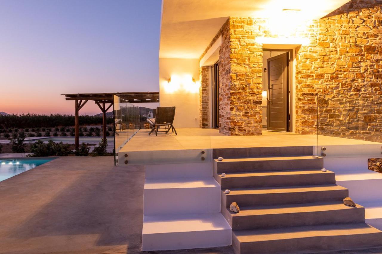 Bamboo Villa Naxos ミクリ・ヴィグラ エクステリア 写真
